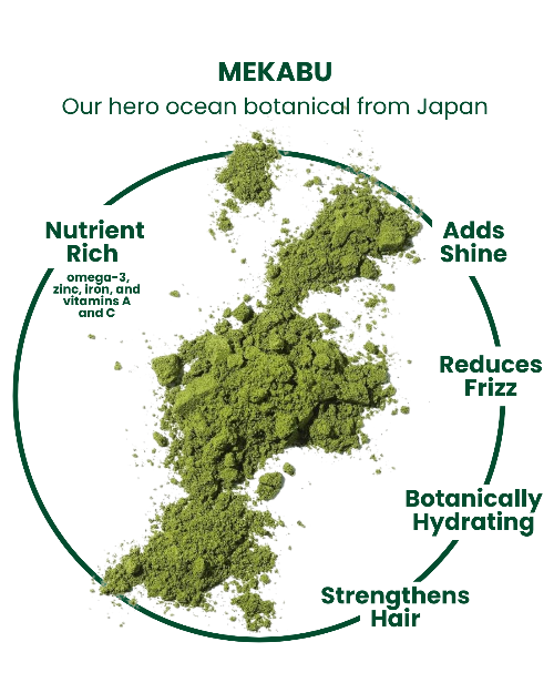 MASAMI Everything Shower Bundle by Masami